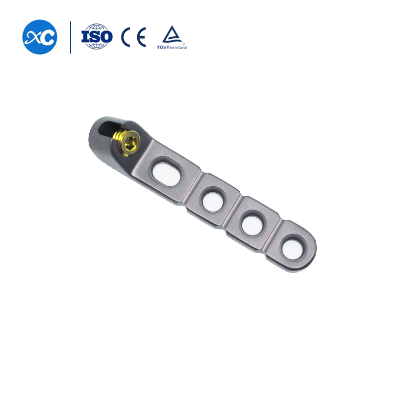 Затылочная пластина