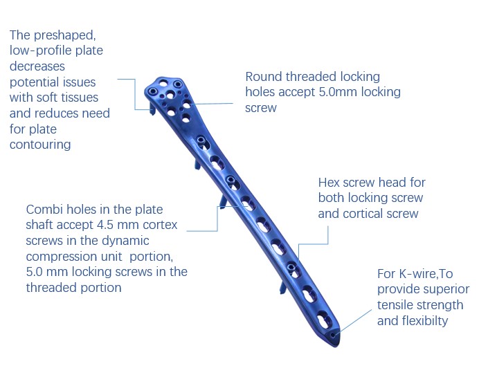 1655195765316787.jpg 股骨.jpg