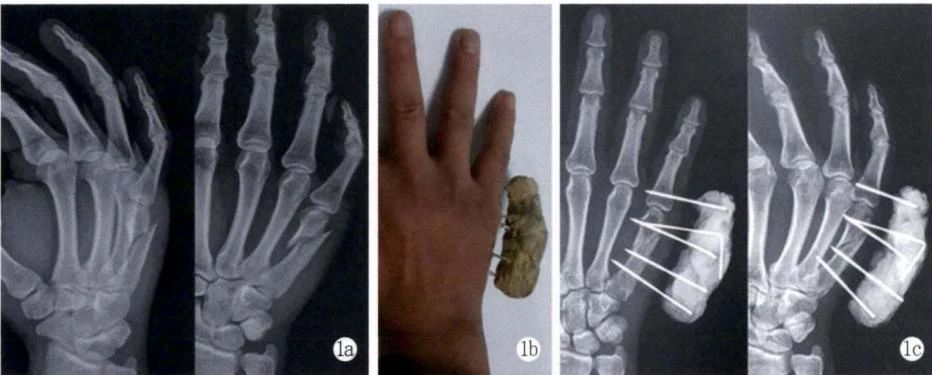 1695197224267632.jpg 02-006.jpg