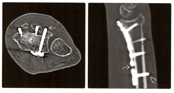 1698303119169688.jpg 失败6.jpg