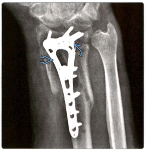 1698303233592287.jpg 失败1.jpg