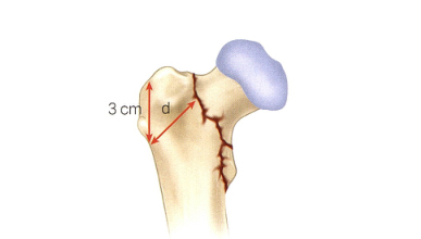 1702007212784454.jpg 4.jpg