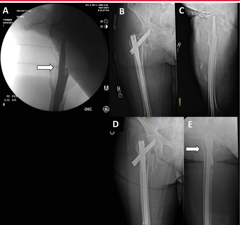 1702007569113725.jpg 10.jpg