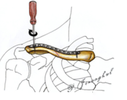 1703731957716304.png 8.png