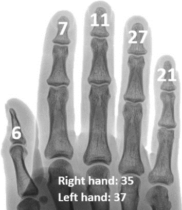 1704704507113661.jpg 222.jpg