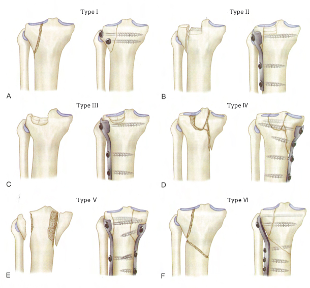 1709882411647454.jpg 图片1英语.jpg