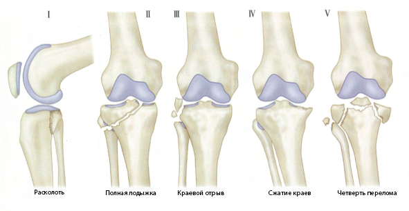 1709882449190284.jpg 图片2-1俄语.jpg