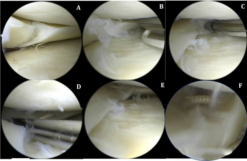 1718258607207507.png 5.png