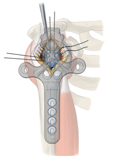 1720602018111726.png 8.png