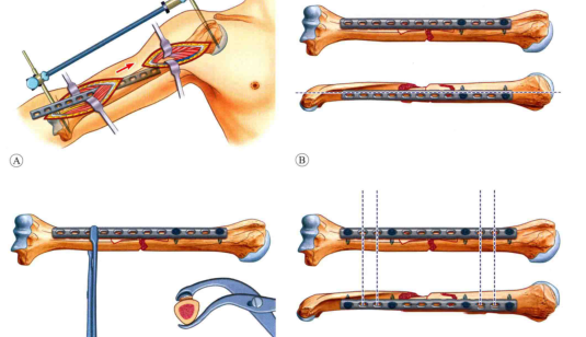 1721894595102759.png 1.png